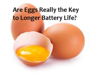 Really Eggs May Help Batteries Last Longer